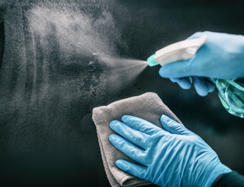 Keeping Your Cape Coral Home Germ-Free: Tips from the Pros